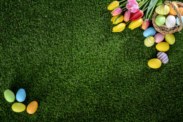 istock above top view of multi colored painted easter eggs with springtime tulip bouquet flowers on green grass 939043588