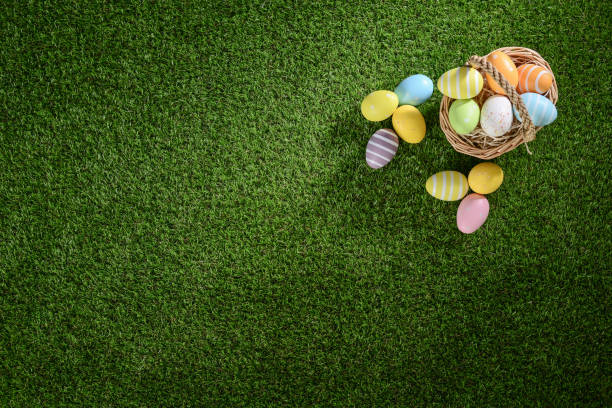 istock above top view of multi colored painted easter eggs on green grass at springtime 939043598