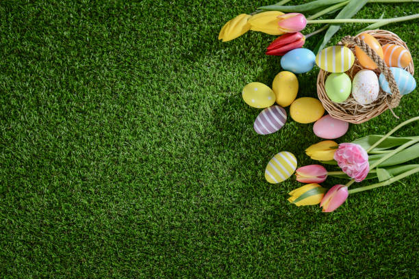 istock above top view of multi colored painted easter eggs with springtime tulip bouquet flowers on green grass 939043608