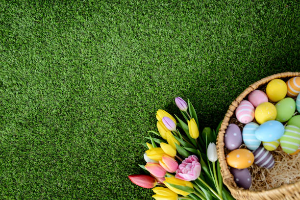 istock above top view of multi colored painted easter eggs with springtime tulip bouquet flowers on green grass 939043616