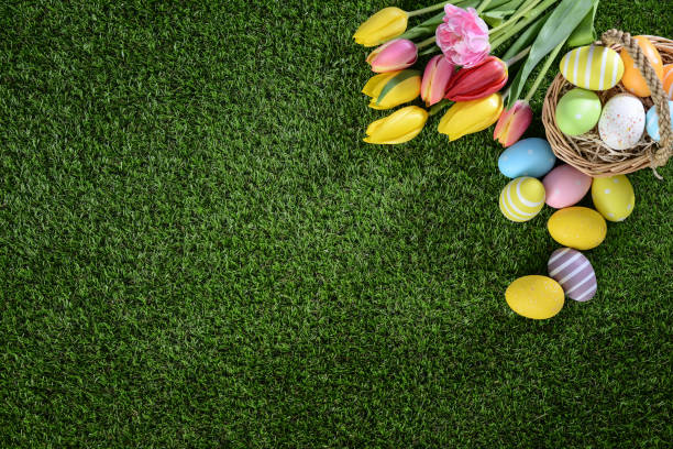 istock above top view of multi colored painted easter eggs with springtime tulip bouquet flowers on green grass 939043642