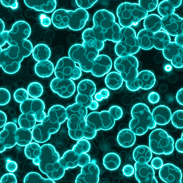 komórka, mała struktura każdego żywego organizmu, są w stanie żyć samodzielnie i rozmnażać się. tekstura komórek - protozoan zdjęcia i obrazy z banku zdjęć