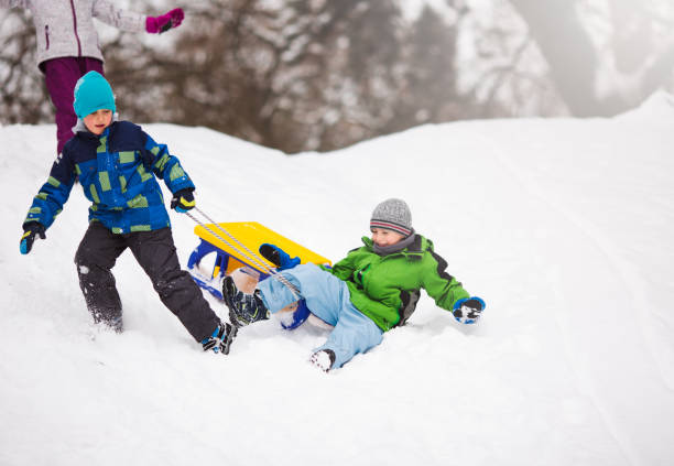 istock Little friends having fun in winter 939057538