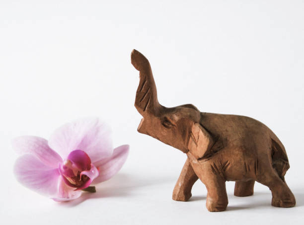 istock Wooden elephant and orchid on a white background 939061444