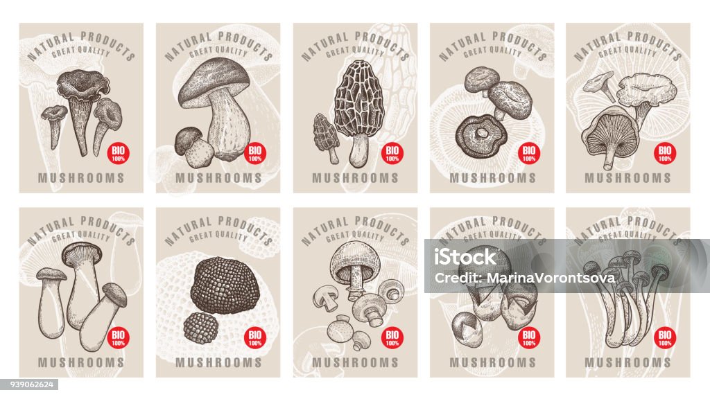 Labels with mushrooms set. Labels with mushrooms. Set templates price tags for shops, markets of organic vegetarian food. Vector illustration art. Vintage. Hand drawing of nature objects. Mushroom stock vector