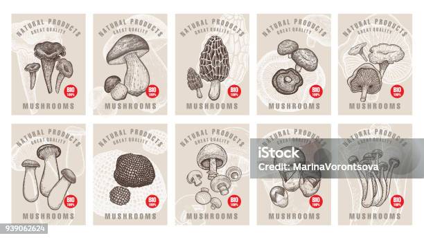 Labels With Mushrooms Set Stock Illustration - Download Image Now - Mushroom, Truffle - Fungus, Backgrounds