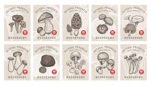 Vector illustration of Labels with mushrooms set.