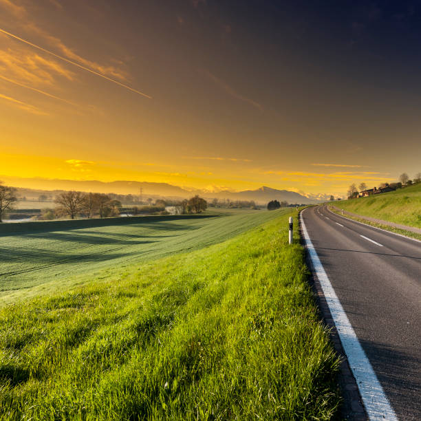 istock Asphalt road along the pasture 939065108