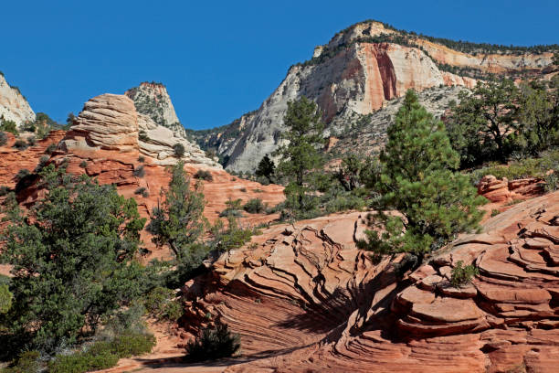 istock Mountainscape around Checkerboard Mesa, UT-9, Orderville, USA 939066106