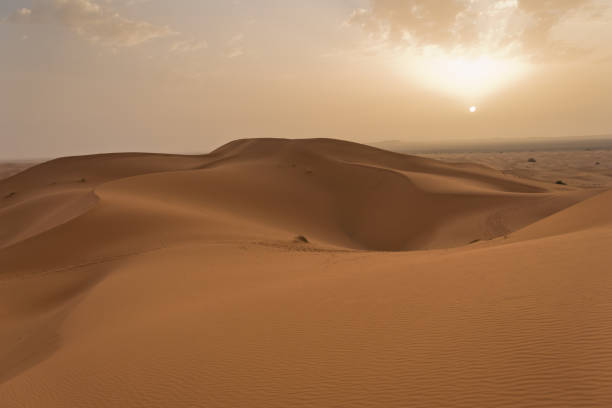 istock Sunrise over sand dunes in Erg Chebbi,  Sahara desert, Morocco 939080320