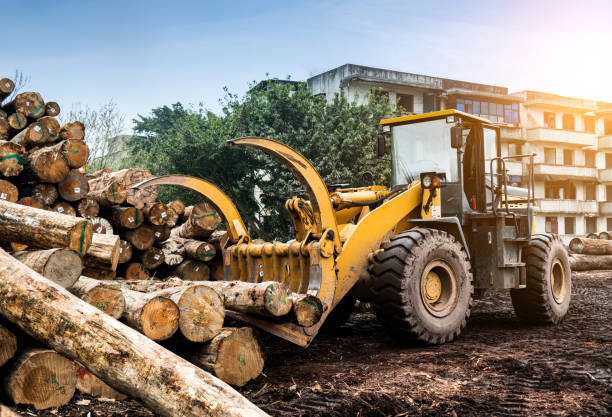 istock Forklift truck grabs wood in a wood processing plant 939080608