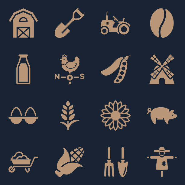 ilustrações de stock, clip art, desenhos animados e ícones de agriculture symbols color - soybean isolated seed white background