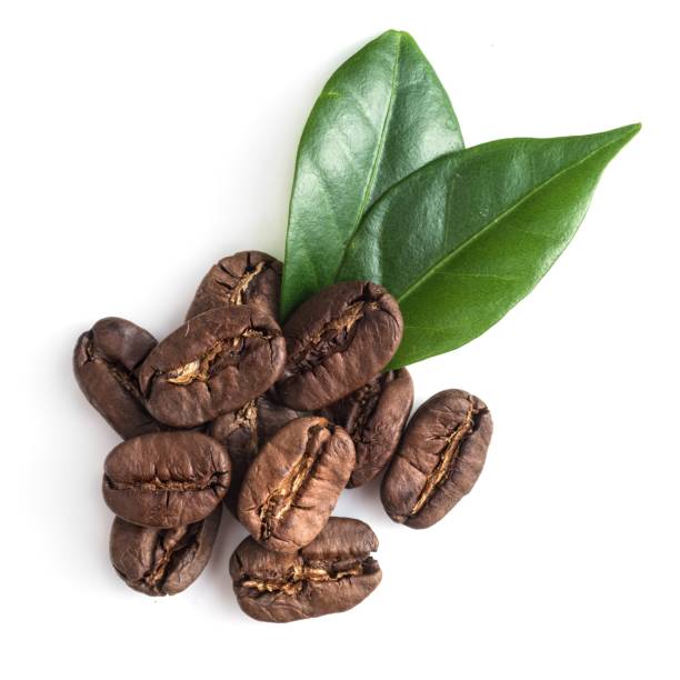 istock top view on the coffe beans with leaves on white 939084652