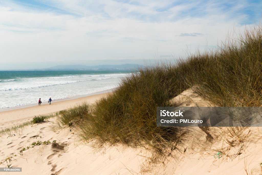 On the Beach - Color Beach landscape between dunes and natural flora. Beach Stock Photo