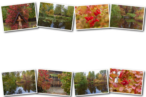 istock beautiful autumn landscape with reflections in the water 939086126