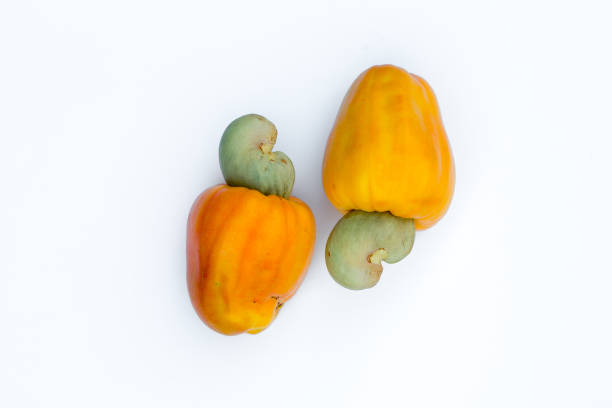 Cashews or Caju Fruit