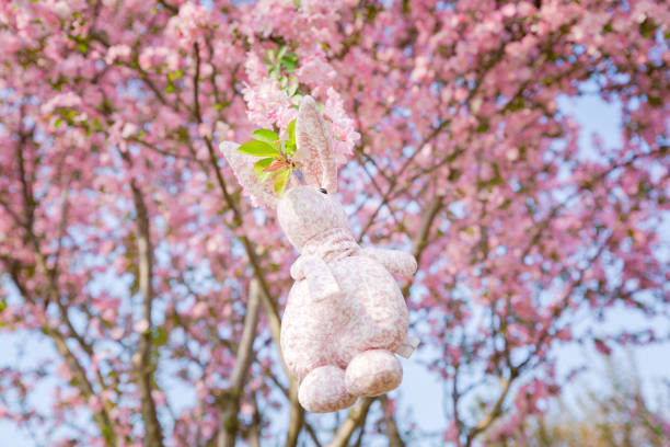 istock Rabbit doll hanging on a Begonia flower, background is pink 939098682