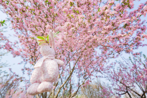 istock Rabbit doll hanging on a Begonia flower, background is pink 939098684