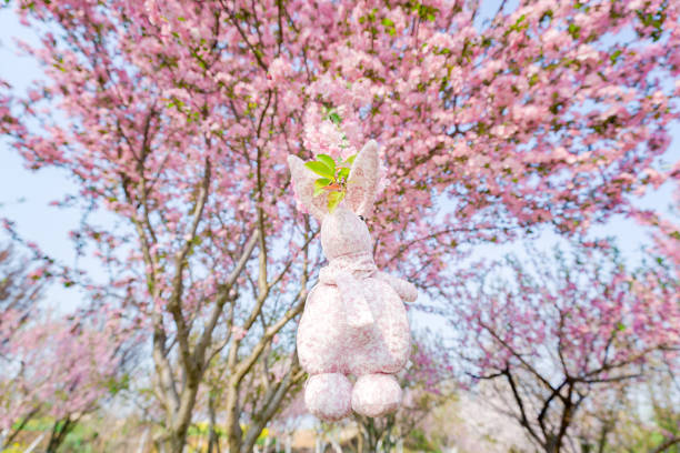 istock Rabbit doll hanging on a Begonia flower, background is pink 939098698