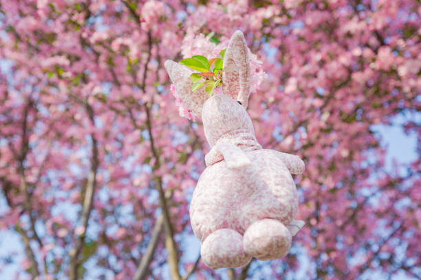 istock Rabbit doll hanging on a Begonia flower, background is pink 939098962