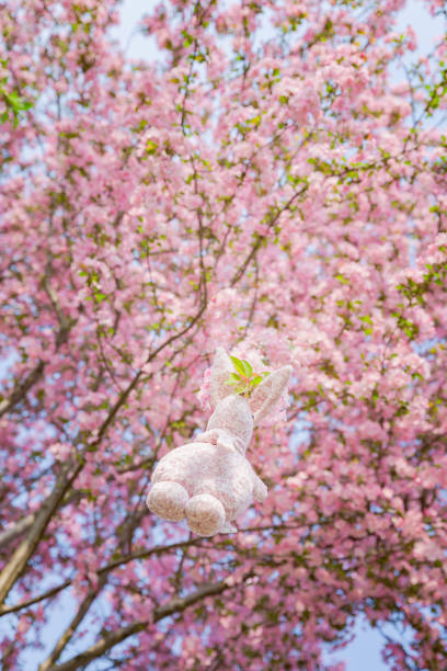 istock Rabbit doll hanging on a Begonia flower, background is pink 939098966