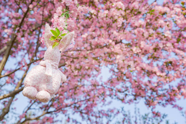 istock Rabbit doll hanging on a Begonia flower, background is pink 939099116