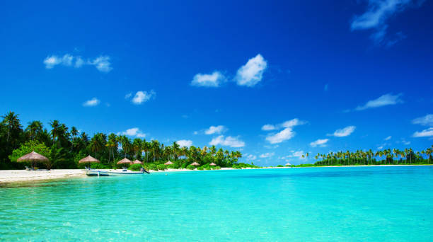 istock tropical beach in Maldives 939107514