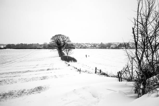 istock Distant dog walker walking across snow blown fields, near Cirencester, Gloucestershire 939108138