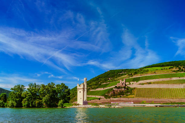 Beautiful landscape view over Rhein-Valley with vineyards and \