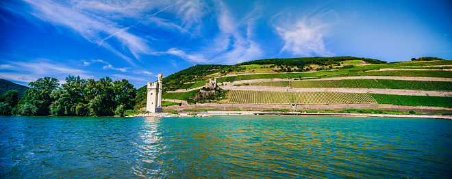 Beautiful landscape view over Rhein-Valley with vineyards and \