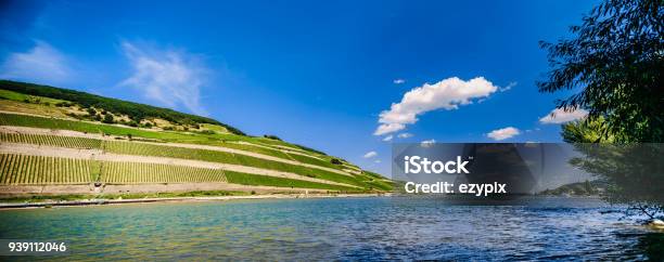 Landscape View Over Rheingau Rhin Valley Stock Photo - Download Image Now - Vineyard, Germany, Rheingau
