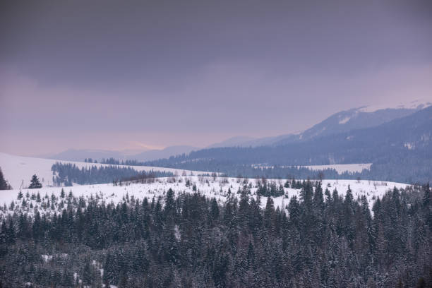 istock Landscape of the mountain forest 939128772