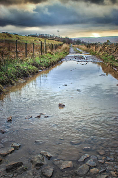 istock Flooded farm track at sunrise 939134724