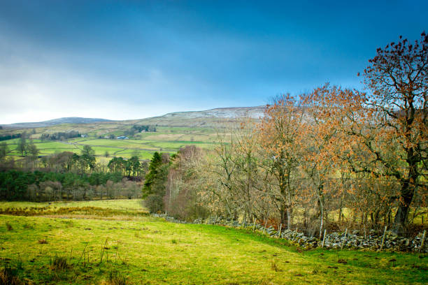 istock Dry stone wall on a sheep farm 939134842