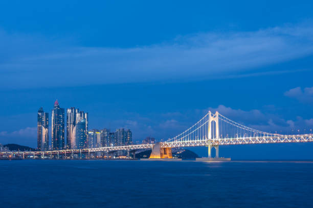 istock Sea Bridge and Modern City night view 939136088