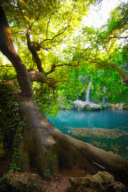 водопад парк в анталии, турция. курсунлу селалеси - waterfall antalya turkey forest стоковые фото и изображения