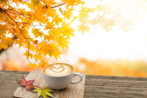 Photo of Cup of coffee latte art on old wooden in autumn with maple tree red leaves colorful in the garden. Seasonal fall and beautiful relax aroma concept and free space.