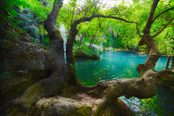 Waterfall park at Antalya, Turkey. Kursunlu selalesi Waterfall park at Antalya, Turkey. Kursunlu selalesi kursunlu waterfall stock pictures, royalty-free photos & images