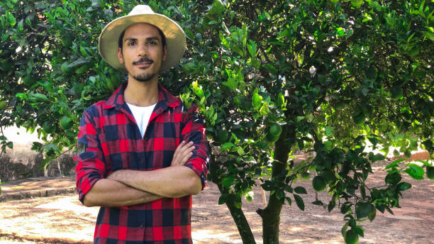 istock Farmer or worker with hat looking for camera in front of orange tree. 939159888