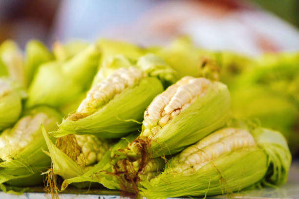 istock Macro close-up of pile of white corn 939159994