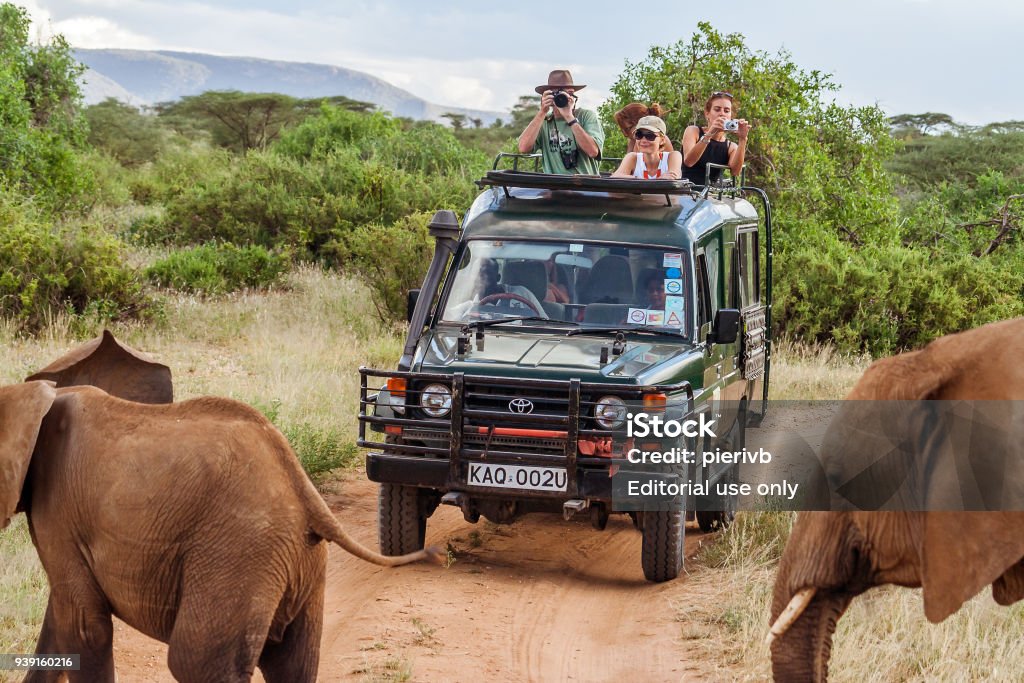 Turistas En Coche Juego Safari Foto de stock más banco imágenes de Safari - Safari, África, Turismo - Vacaciones -