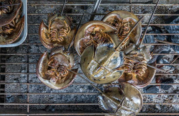istock Thailand grilled seafood horseshoe crab 939160942