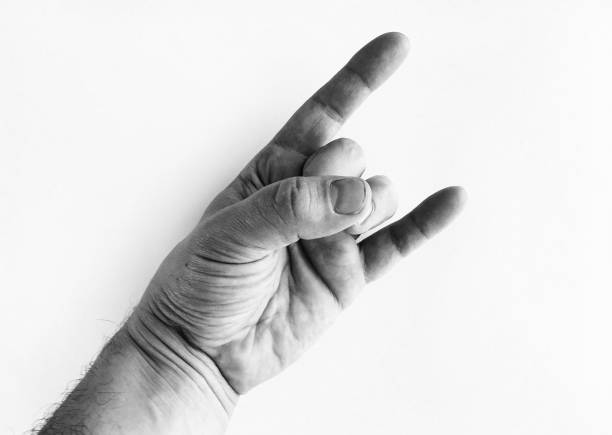istock photo of hand. 939163494