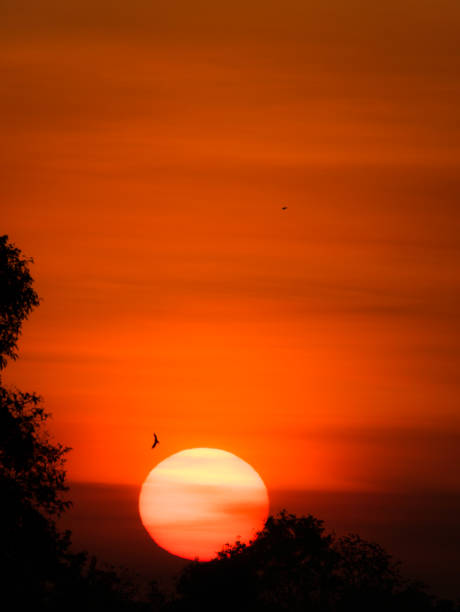 Photo of Yellow Sun Rising in The Red Sky