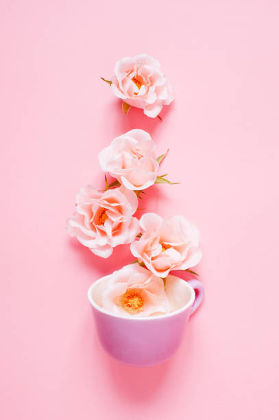 istock Pink composition of cap and roses 939167356