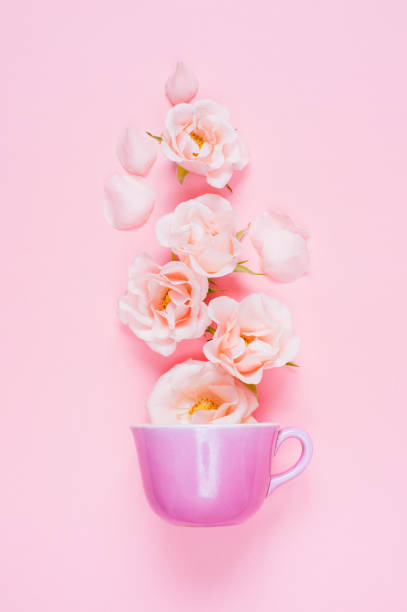 istock Pink composition of cap and roses 939167402