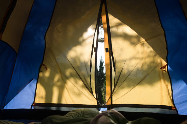 istock Traveler lying down in the tent with view from in tent 939169542