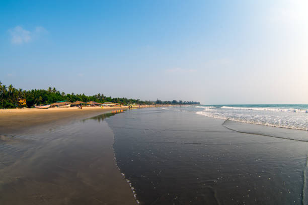 istock Sandy tropical beach in summer day 939178648