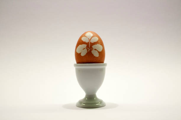 easter_egg_with_herb_colored_with_onionskin_on_white_close - onionskin photos et images de collection