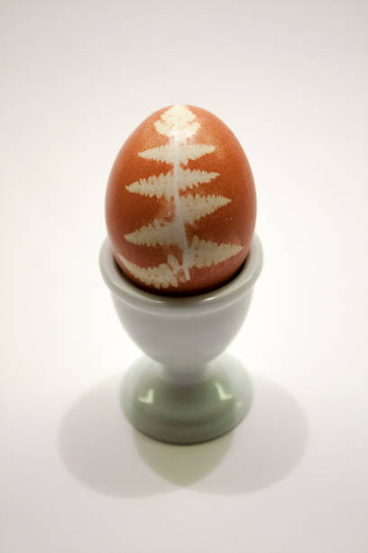 easter_egg_with_fern_colored_with_onionskin_on_white_closeup - onionskin photos et images de collection